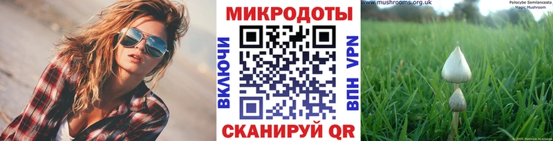 Галлюциногенные грибы Magic Shrooms  Купить закладки  Межгорье 